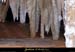 20090524_orgnac092eh