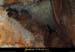 20090524_orgnac101eh