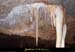 20090524_orgnac113eh