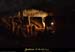 20090524_orgnac116eh