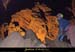 20090524_orgnac117eh