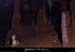 20090524_orgnac118eh