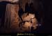 20090524_orgnac119eh