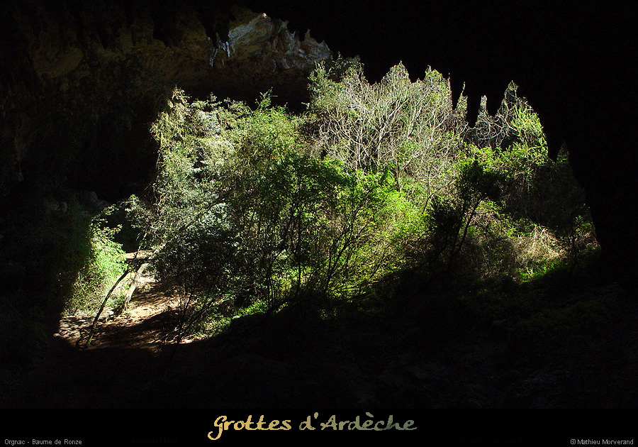 20030422_baumederonze_2