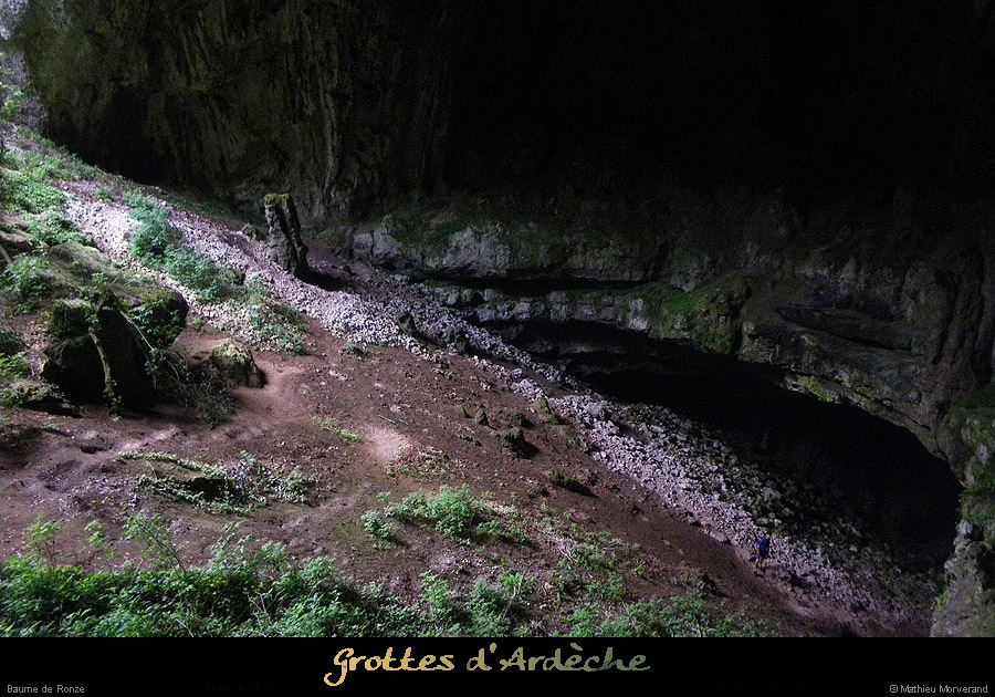 20100615_baumederonze1