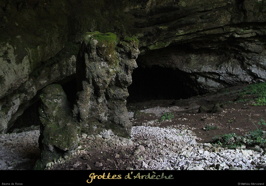 20130816_baumederonze6