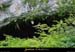 20010804_baumederonze_04