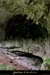 20010804_baumederonze_39