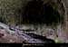20010804_baumederonze_50