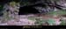 20010804_baumederonze_69