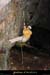 20030101_baumeronze_lucarne_entree_02