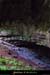 20040813_baumederonze_c2_haut_4