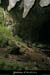 20041031_baumederonze_2ndecavitehaut_14