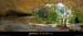 20051023_baumederonze_c1_pano2