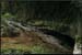 20051023_baumederonze_c2_4