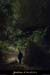 20130430_baumederonze1