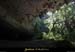 20130816_baumederonze3