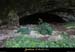 20130816_baumederonze5