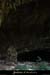 20130816_baumederonze7