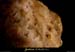 20030223_grottedechironlond_in_concretions_3