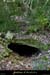 20011125_grospierres_pertedulapin_3