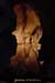 20010817_soyons_grottedurenard_01