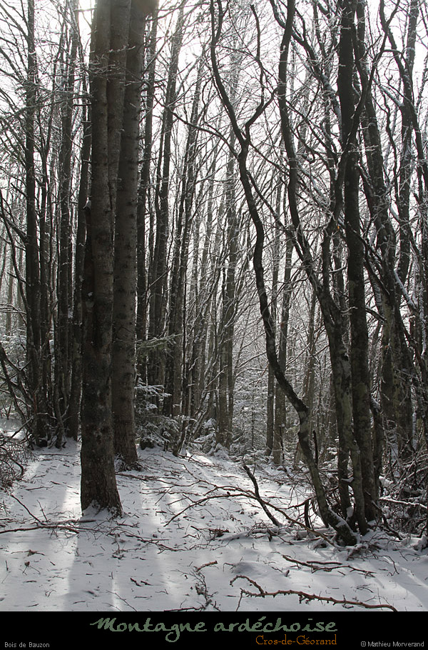20110130_crosdegeorand_boisdebauzon2