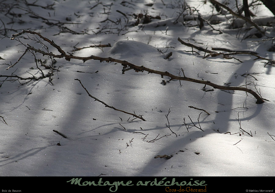 20110130_crosdegeorand_boisdebauzon4