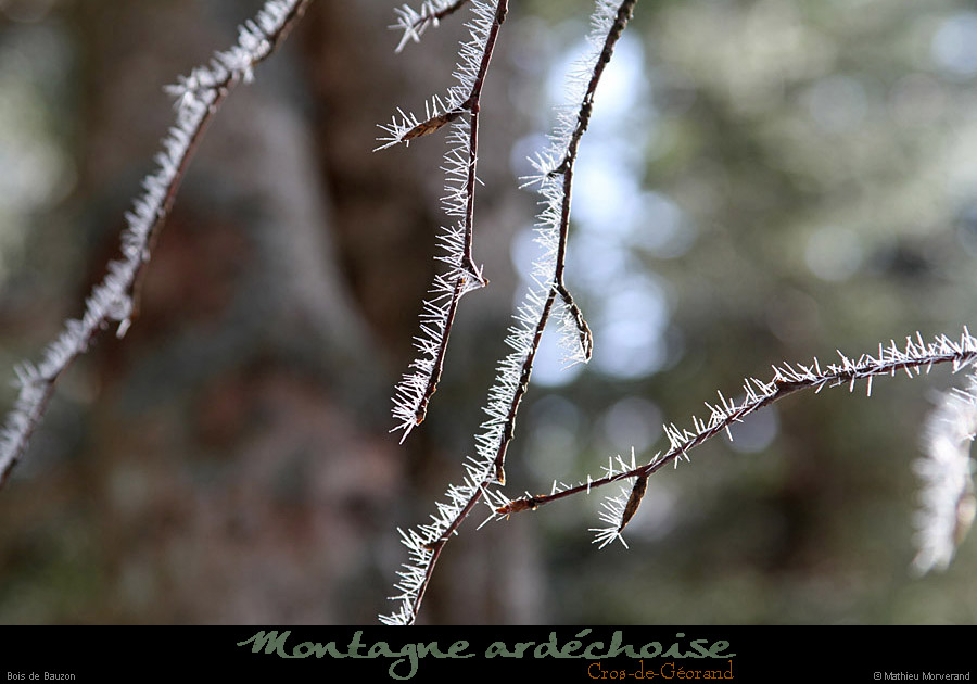 20110130_crosdegeorand_boisdebauzon5