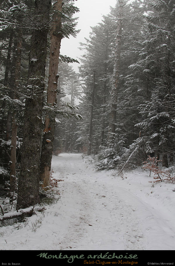 20110130_stcirgues_boisdebauzon5