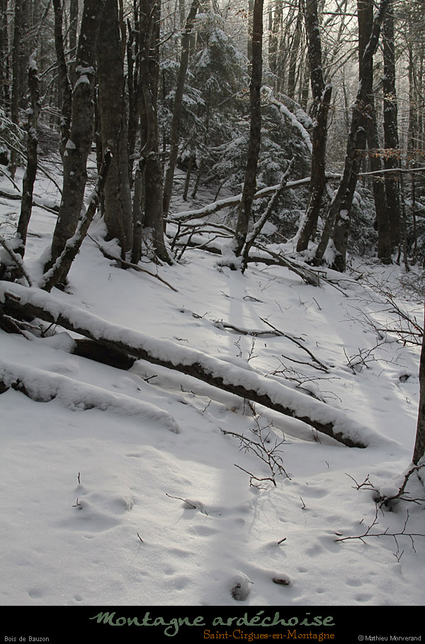 20110130_stcirgues_boisdebauzon6