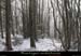 20110130_crosdegeorand_boisdebauzon1