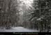 20110130_stcirgues_boisdebauzon3