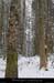 20110130_stcirgues_boisdebauzon4