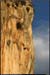 20050825_autridge53