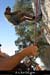 20060905_autridge_042