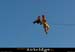 20060905_autridge_084