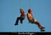 20060905_autridge_085