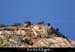 20060905_autridge_047