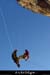 20060905_autridge_073