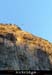 20060905_autridge_096