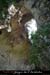 20160517_059