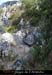 20070817_f002