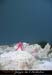 20070817_f069