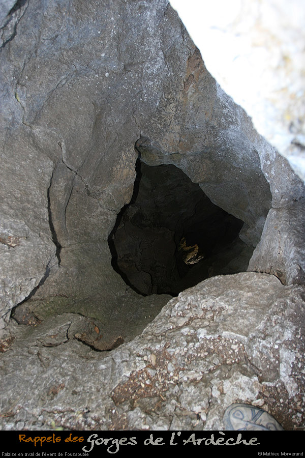 20090730_foussoubiepuits03
